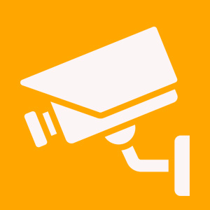 Sistema de cámaras de videovigilancia con IA